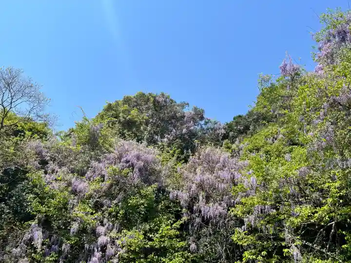 隔夜寺(奈良県)