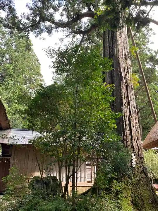 元伊勢内宮 皇大神社(京都府)