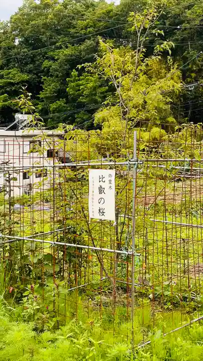 国宝 大法寺(長野県)