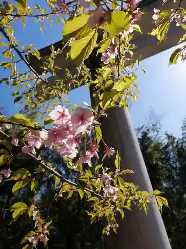 常陸国出雲大社の自然