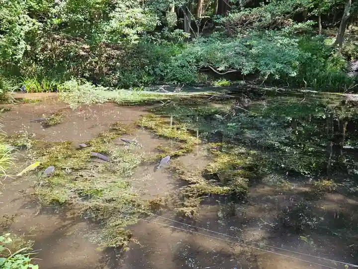 赤城神社(三夜沢町)(群馬県)