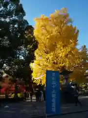 鑁阿寺(栃木県)