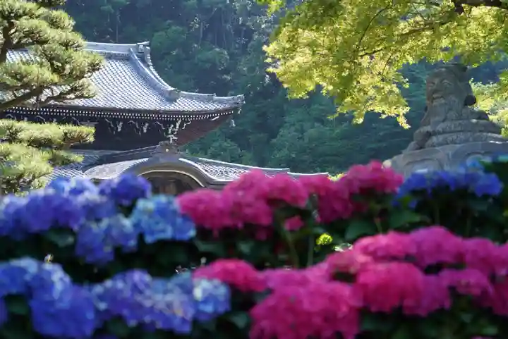 三室戸寺の自然