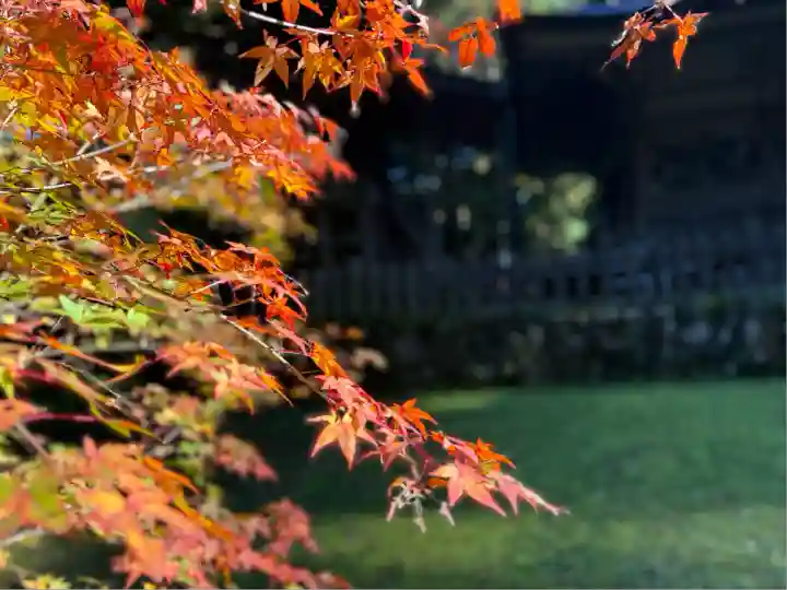 粟鹿神社(兵庫県)