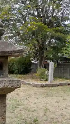 道明寺(大阪府)