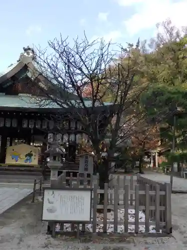 白峯神宮の自然