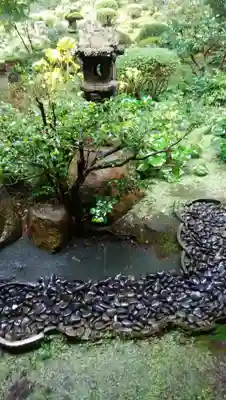 三千院門跡(京都府)