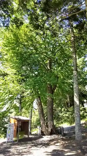 浦幌神社・乳神神社の自然