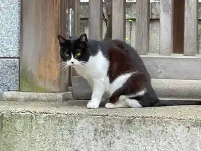 白金氷川神社の御朱印