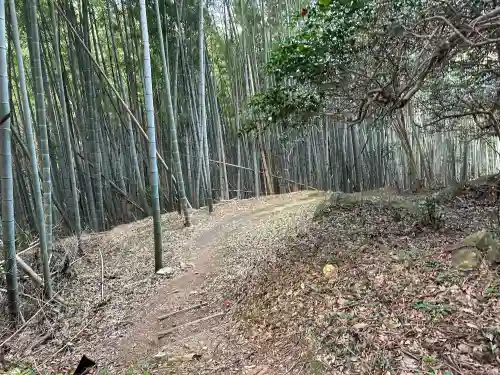 立石神社の{uncategorized: "未分類", other: "その他", undefined: "問題あり", building: "その他建物", grave: "お墓", sacred_gate: "鳥居", guardian: "狛犬", statue: "像", buddha: "仏像", history: "歴史", nature: "自然", garden: "庭園", animal: "動物", pagoda: "塔", temizu: "手水舎", mountain_gate: "山門・神門", sanctuary: "本殿・本堂", subordinate: "末社・摂社", art: "芸術", scenery: "景色", jizo: "地蔵", ema: "絵馬", goshuin: "御朱印", omikuji: "おみくじ", items: "授与品その他", amulet: "お守り", goshuincho: "御朱印帳", eats: "食事", festival: "お祭り", votive_dance: "神楽", shichigosan: "七五三参", wedding: "結婚式", experience: "体験その他", initially: "初詣", around: "周辺", anti_infection: "感染症対策"}