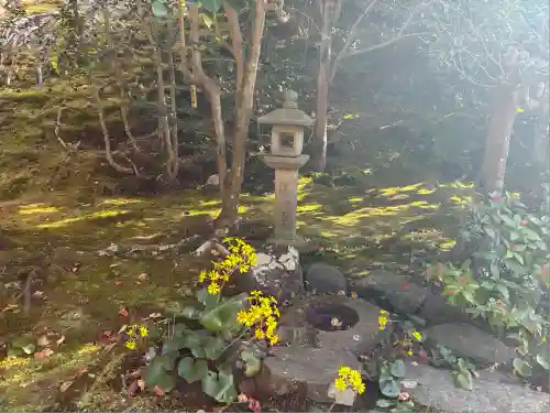 霊鑑寺門跡(京都府)