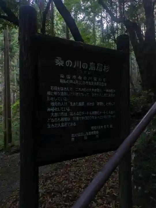 地主神社(桑の川の鳥居杉)(高知県)