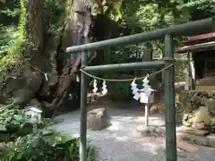 來宮神社の鳥居