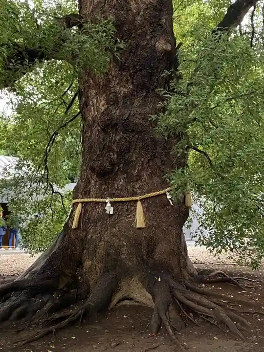 上野東照宮(東京都)