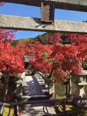 禅林寺（永観堂）(京都府)