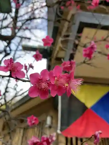 東郷神社の自然