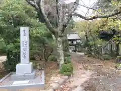 松竜寺(福井県)