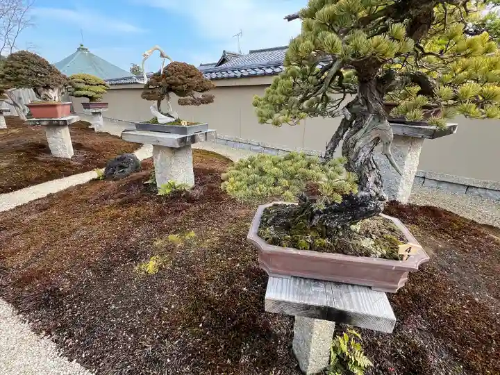 芳春院(京都府)