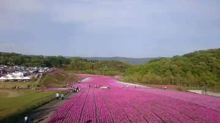 安住神社の周辺