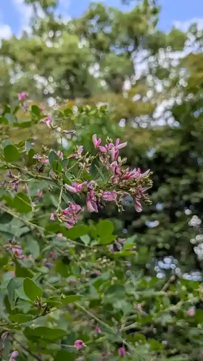 梨木神社(京都府)