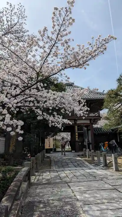 本法寺(京都府)