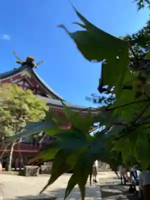 大山阿夫利神社(神奈川県)