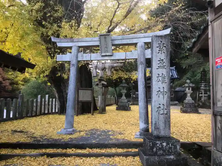 素盞雄神社の鳥居