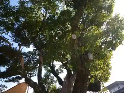 一色神社(三重県)