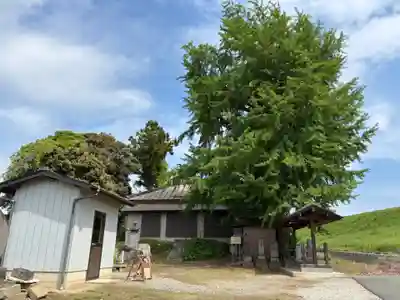 臨川庵(埼玉県)