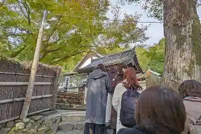 華厳寺(鈴虫寺)(京都府)