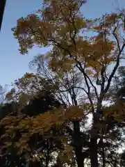 神鳥前川神社(神奈川県)