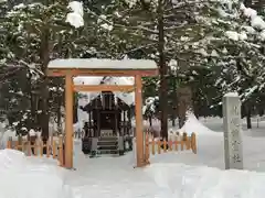 北海道神宮の鳥居