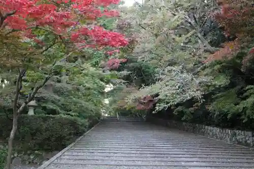 光明寺（粟生光明寺）の自然