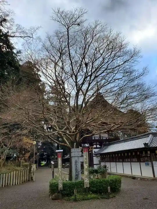 沙沙貴神社のその他建物