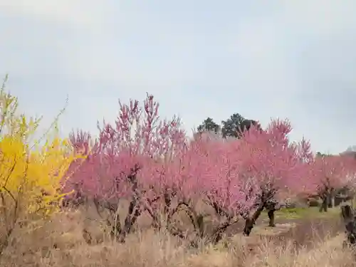 伏木香取神社(茨城県)