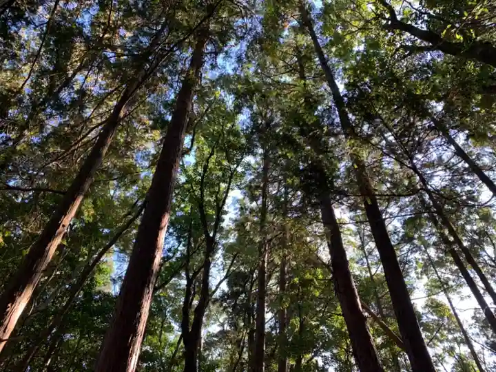 浅間神社の自然