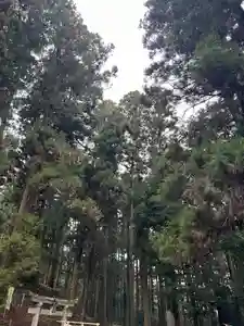 大宮温泉神社(栃木県)(2023年12月26日(火) 08時11分43秒投稿)