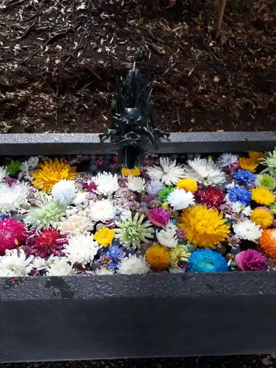 下野 星宮神社の手水舎