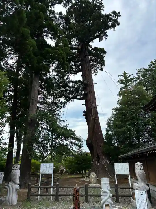 八幡宮(茨城県)