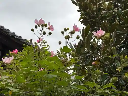 宝筐院(京都府)