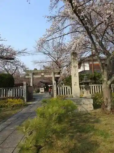 吒枳尼天（法伝寺）の鳥居