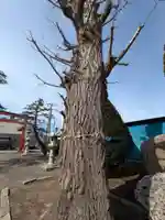 稲荷神社(鍛冶稲荷神社)(北海道)