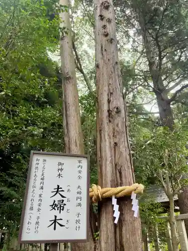 常陸第三宮　吉田神社の{uncategorized: "未分類", other: "その他", undefined: "問題あり", building: "その他建物", grave: "お墓", sacred_gate: "鳥居", guardian: "狛犬", statue: "像", buddha: "仏像", history: "歴史", nature: "自然", garden: "庭園", animal: "動物", pagoda: "塔", temizu: "手水舎", mountain_gate: "山門・神門", sanctuary: "本殿・本堂", subordinate: "末社・摂社", art: "芸術", scenery: "景色", jizo: "地蔵", ema: "絵馬", goshuin: "御朱印", omikuji: "おみくじ", items: "授与品その他", amulet: "お守り", goshuincho: "御朱印帳", eats: "食事", festival: "お祭り", votive_dance: "神楽", shichigosan: "七五三参", wedding: "結婚式", experience: "体験その他", initially: "初詣", around: "周辺", anti_infection: "感染症対策"}