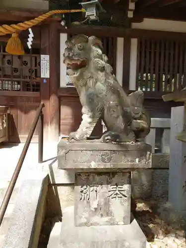 挙母神社の狛犬