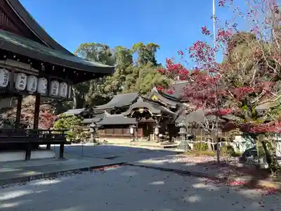 今宮神社(京都府)