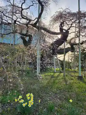 般若院(茨城県)