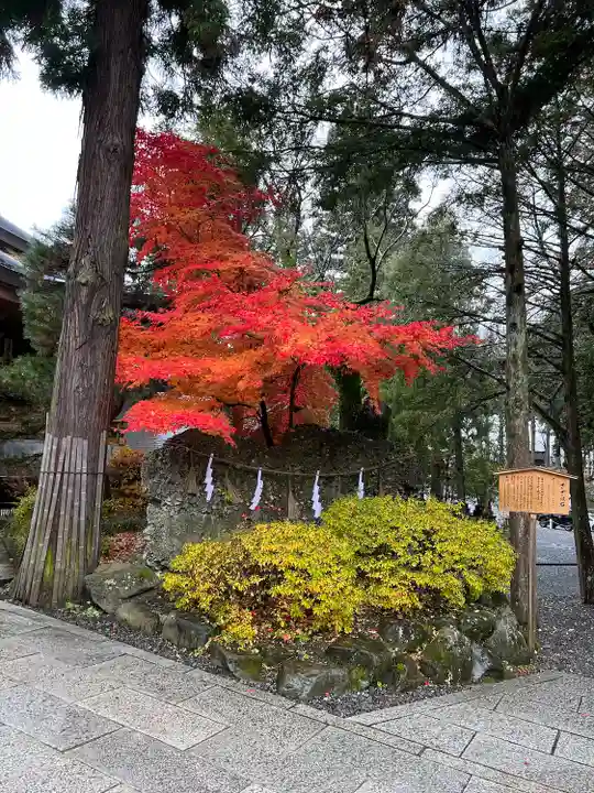 諏訪大社下社秋宮(長野県)