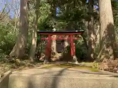 白幡神社の鳥居