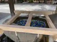 甲斐國一宮 浅間神社の手水舎