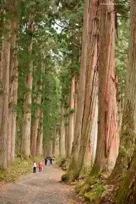 戸隠神社奥社の周辺